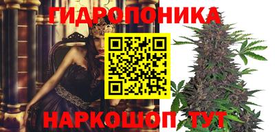 spice Северобайкальск