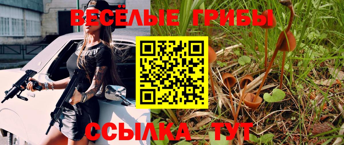 Псилоцибиновые грибы мицелий Ртищево