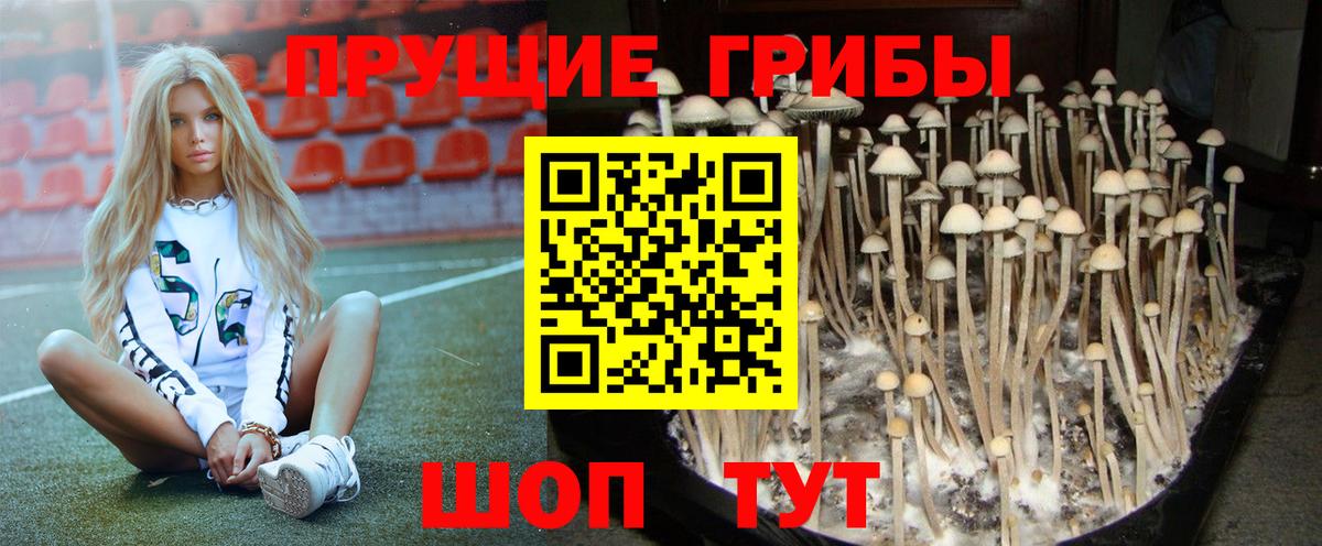 Ртищево  Псилоцибиновые грибы ЛСД  Вход с VPN 